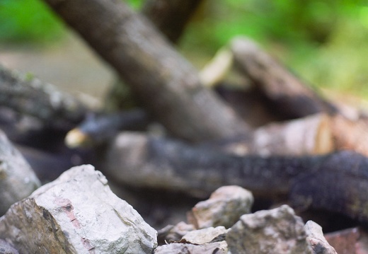 Red River Gorge, June 18, 2010